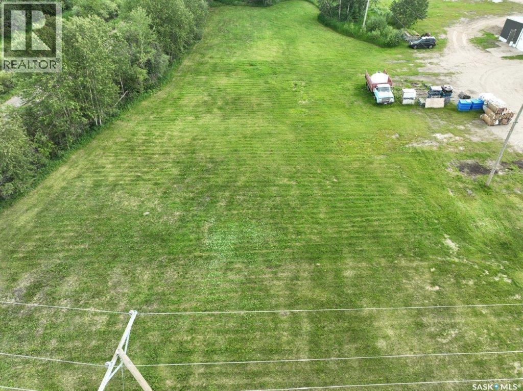 F Railway Avenue, Hudson Bay, Saskatchewan  S0E 0Y0 - Photo 5 - SK027343