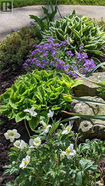 22 Redwing Road, Hamilton, Ontario  L9A 3Y9 - Photo 43 - 40794530