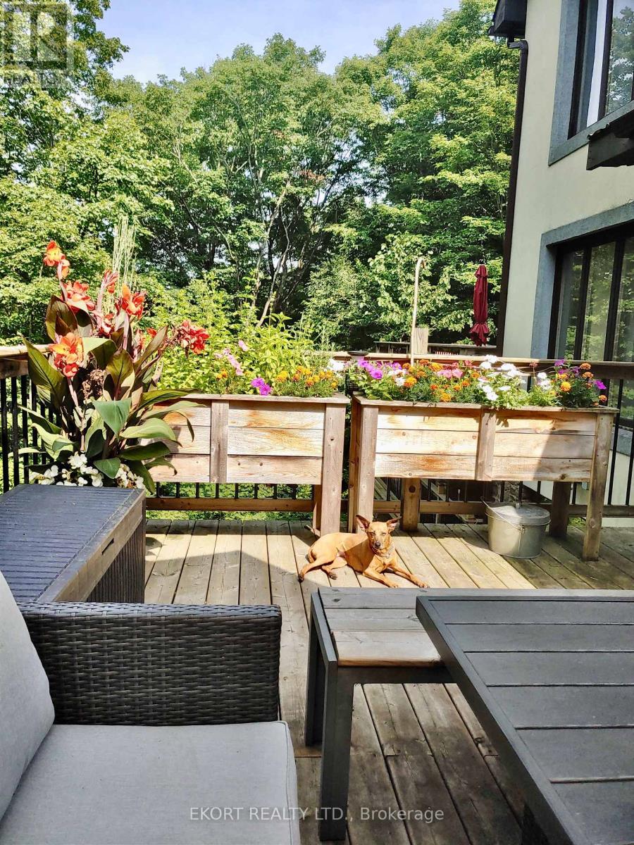 41 Maple Street, Bancroft, Ontario  K0L 1C0 - Photo 50 - X12728006