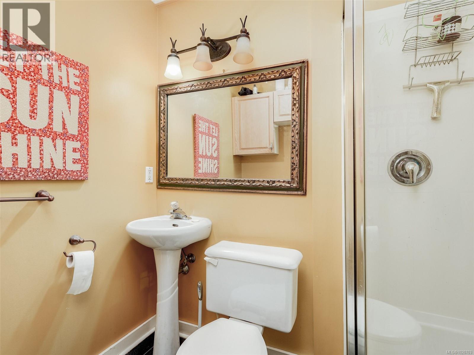 1152 Chapman St, Victoria, British Columbia  V8V 2T6 - Photo 43 - 1020703