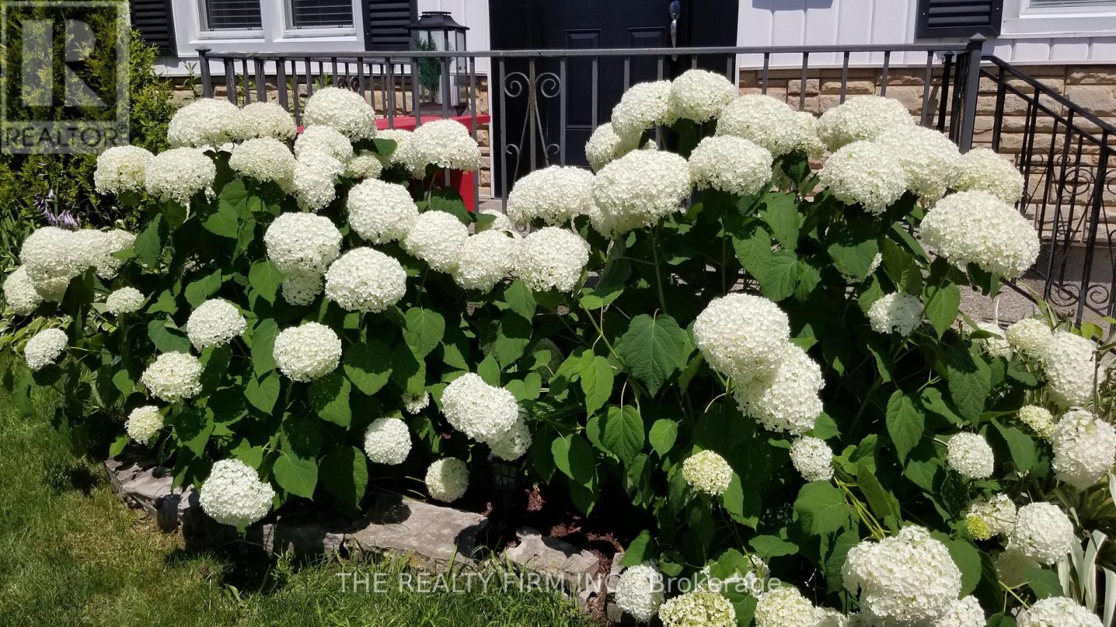 352 Hale Street, London East, Ontario  N5W 1G4 - Photo 50 - X12729172