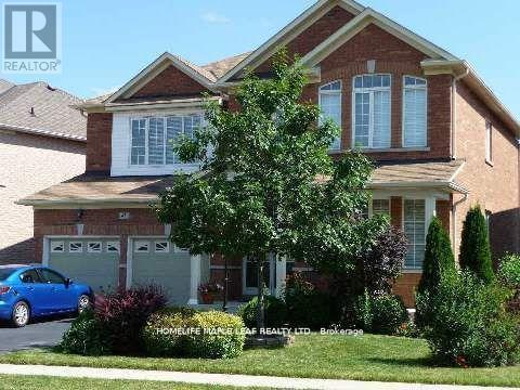 (BSMT) - 45 STONEYLAKE AVENUE, Brampton, Ontario