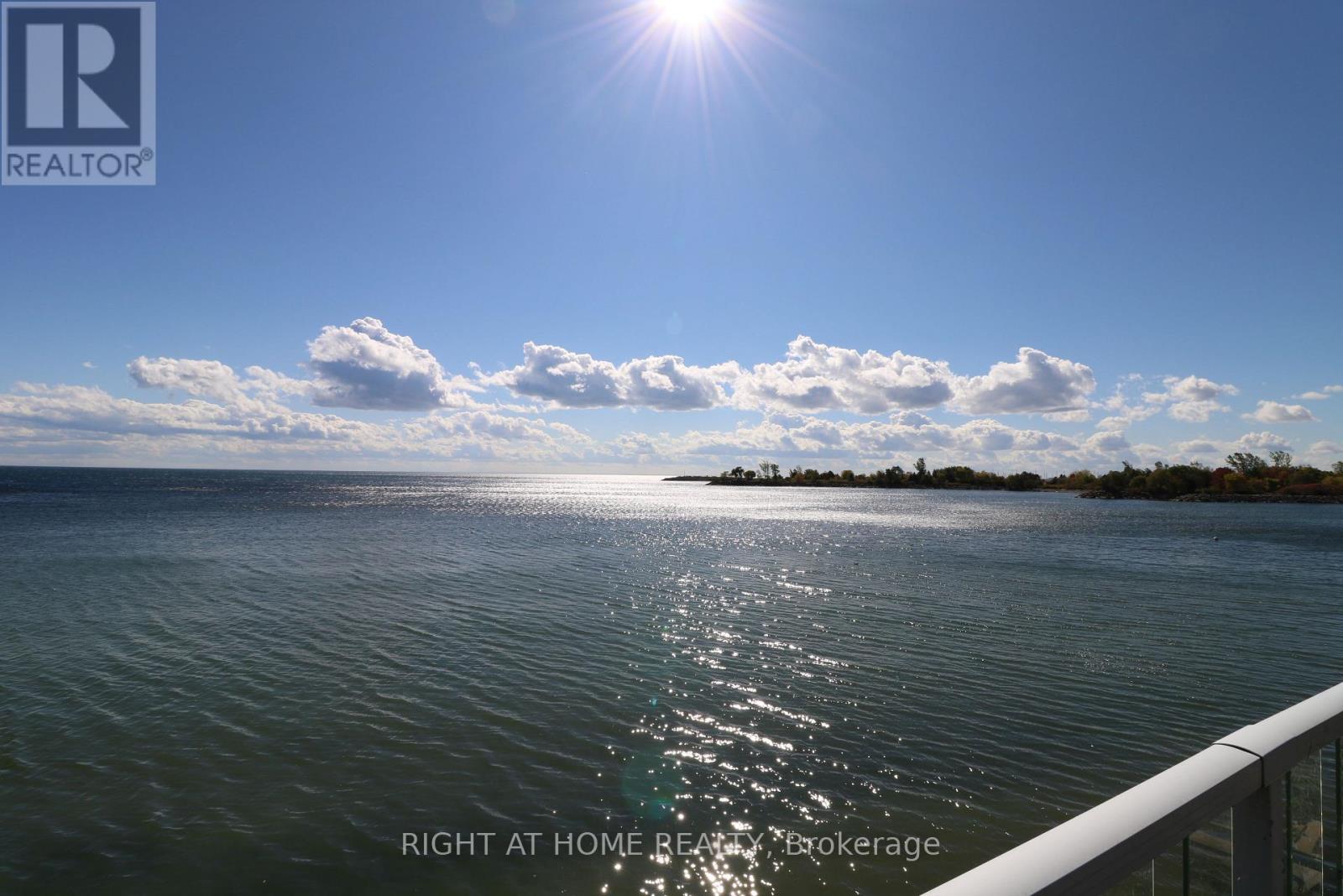 7 Eleventh Street, Toronto, Ontario  M8V 3G2 - Photo 2 - W12672948