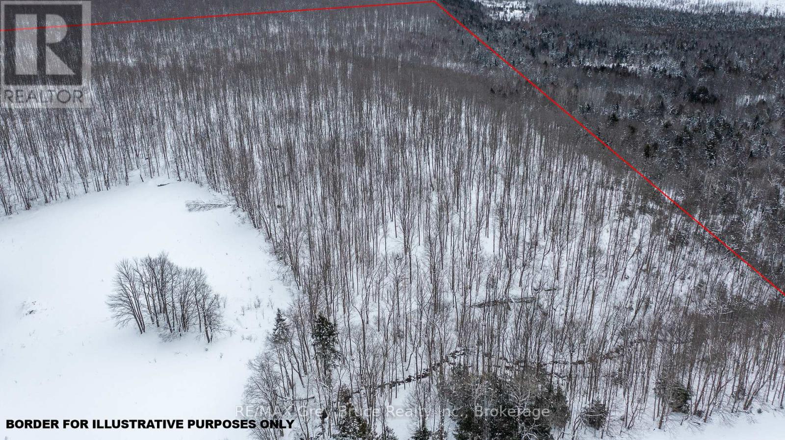 Lt 34 Con 23 Concession 24, Georgian Bluffs, Ontario  N0H 2T0 - Photo 11 - X12729444