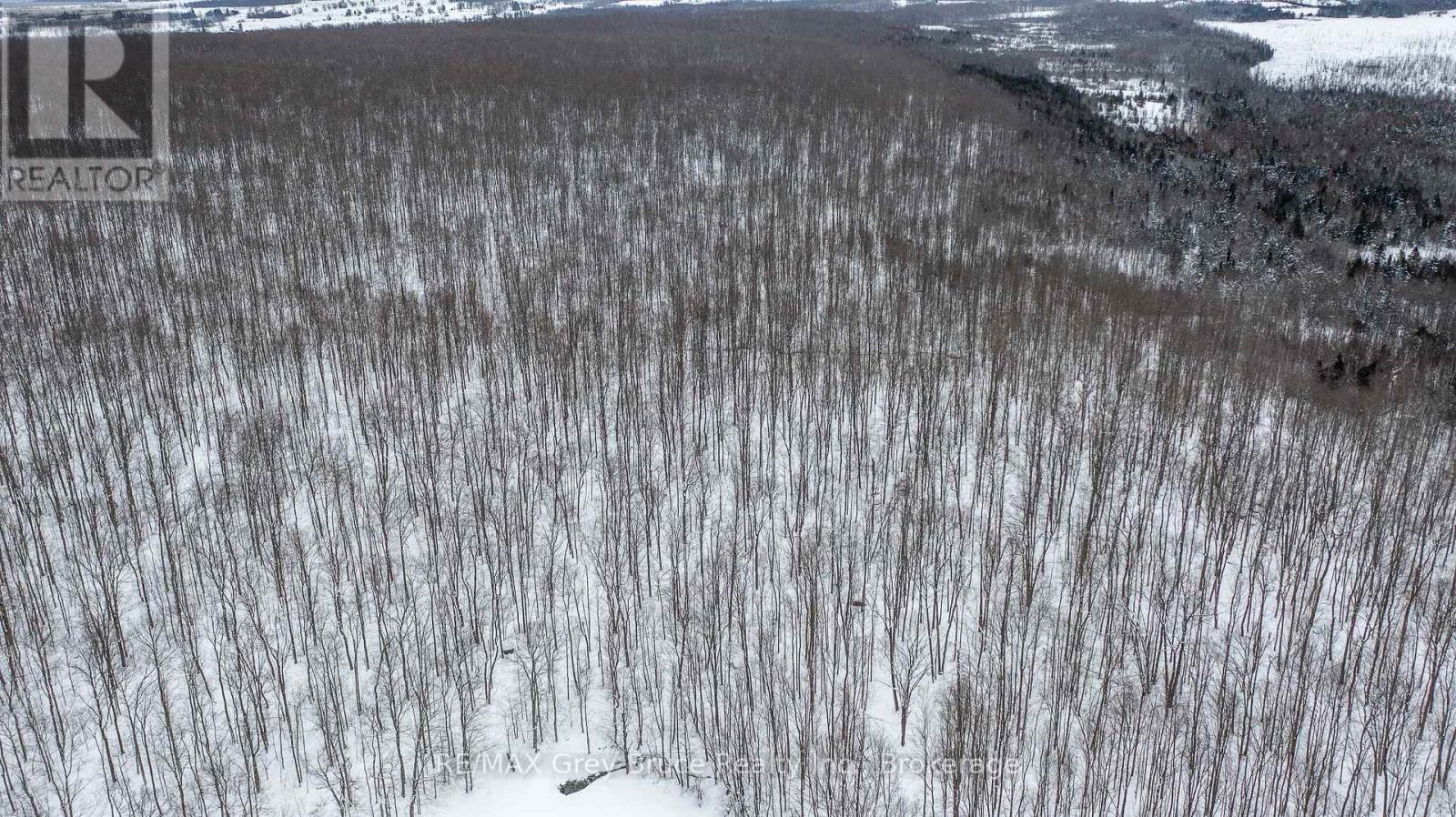 Lt 34 Con 23 Concession 24, Georgian Bluffs, Ontario  N0H 2T0 - Photo 14 - X12729444