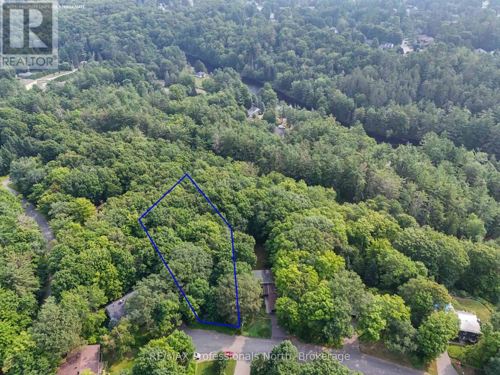 0 Woodland Drive, Bracebridge, Ontario  P1L 1M2 - Photo 5 - X12729516