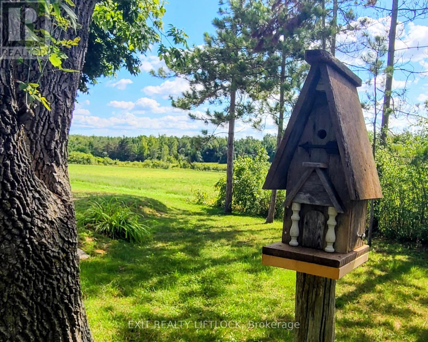 4922 Highway 7, Kawartha Lakes, Ontario  K0L 2W0 - Photo 34 - X12729362