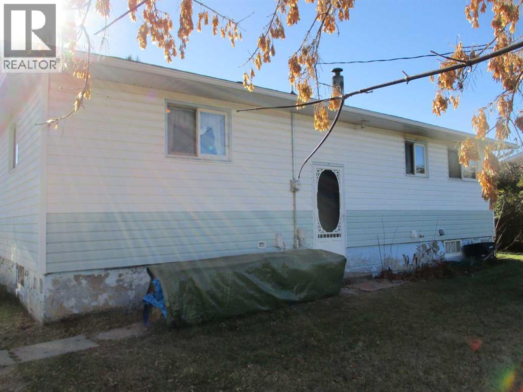 220 2nd Avenue Sw, Manning, Alberta  T0H 2M0 - Photo 3 - A2264429