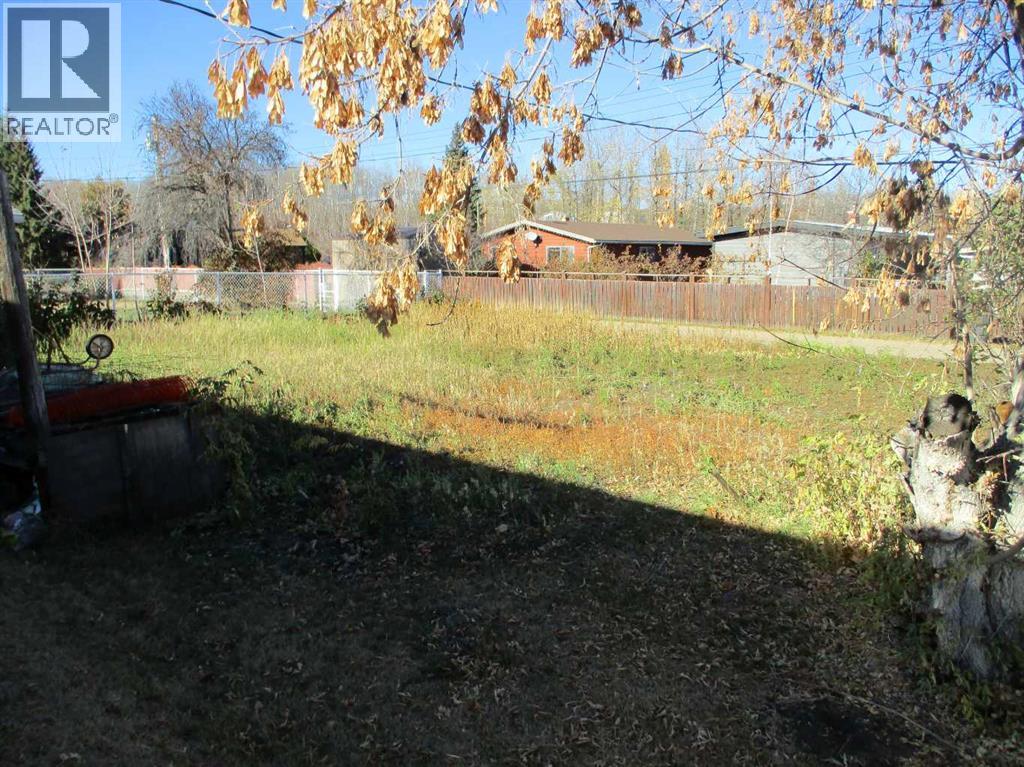 220 2nd Avenue Sw, Manning, Alberta  T0H 2M0 - Photo 16 - A2264429