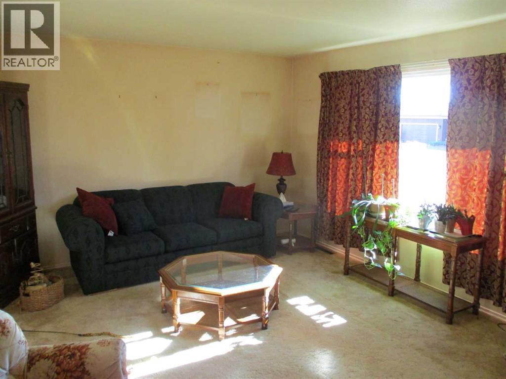 220 2nd Avenue Sw, Manning, Alberta  T0H 2M0 - Photo 5 - A2264429