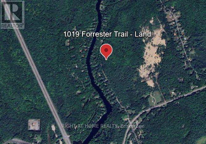 1019 Forrester Trail, Bracebridge, Ontario  P1L 1W9 - Photo 4 - X12729302