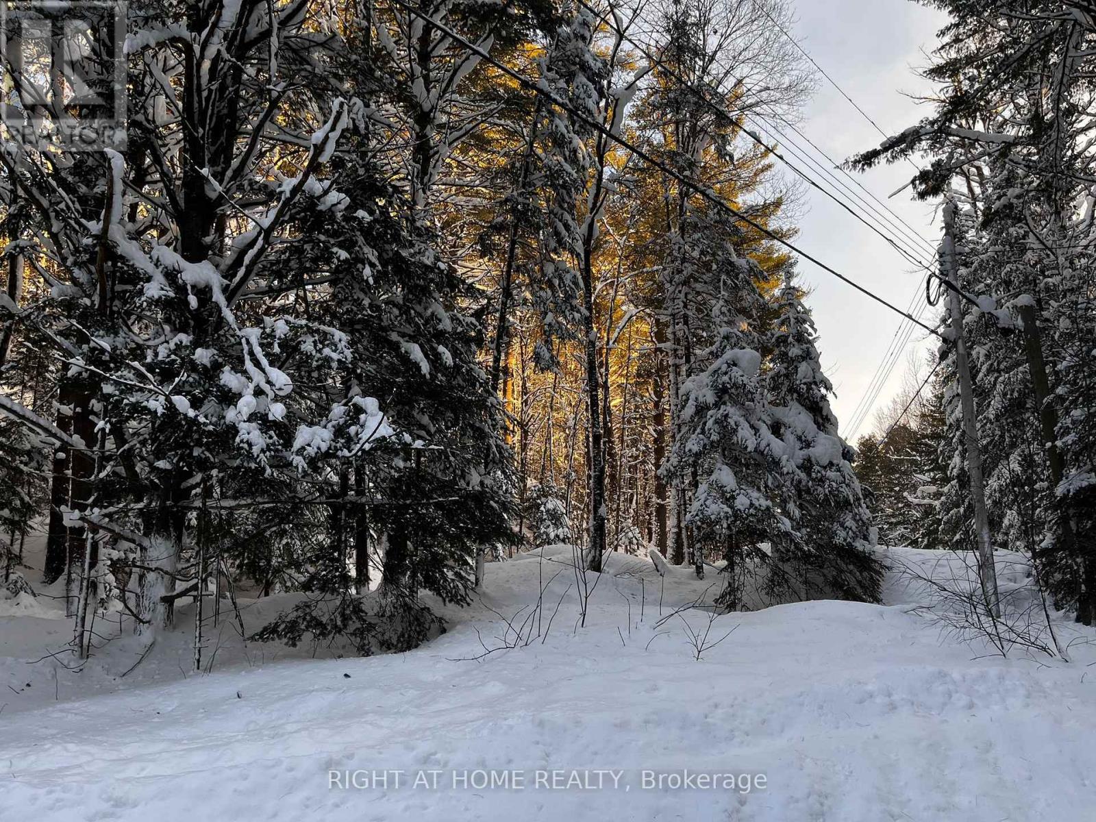 1019 Forrester Trail, Bracebridge, Ontario  P1L 1W9 - Photo 5 - X12729302