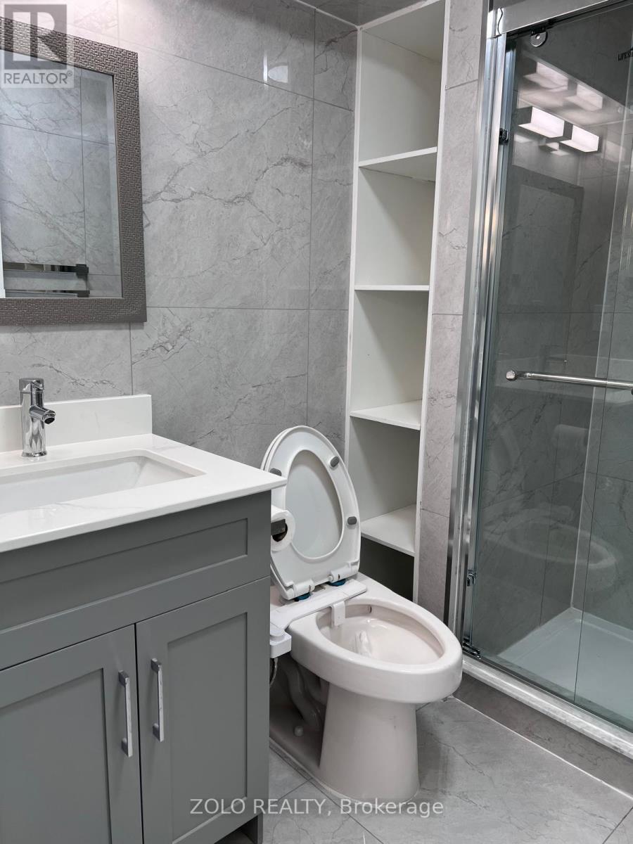 Basement - 239 Rockledge Drive, Hamilton, Ontario  L0R 1P0 - Photo 10 - X12729510