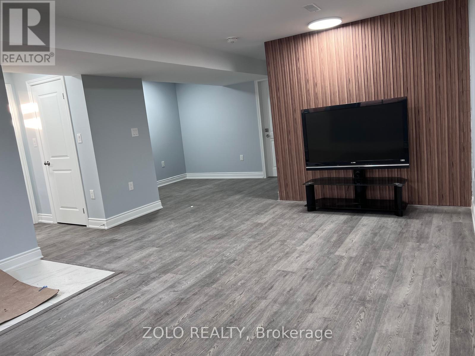 Basement - 239 Rockledge Drive, Hamilton, Ontario  L0R 1P0 - Photo 2 - X12729510