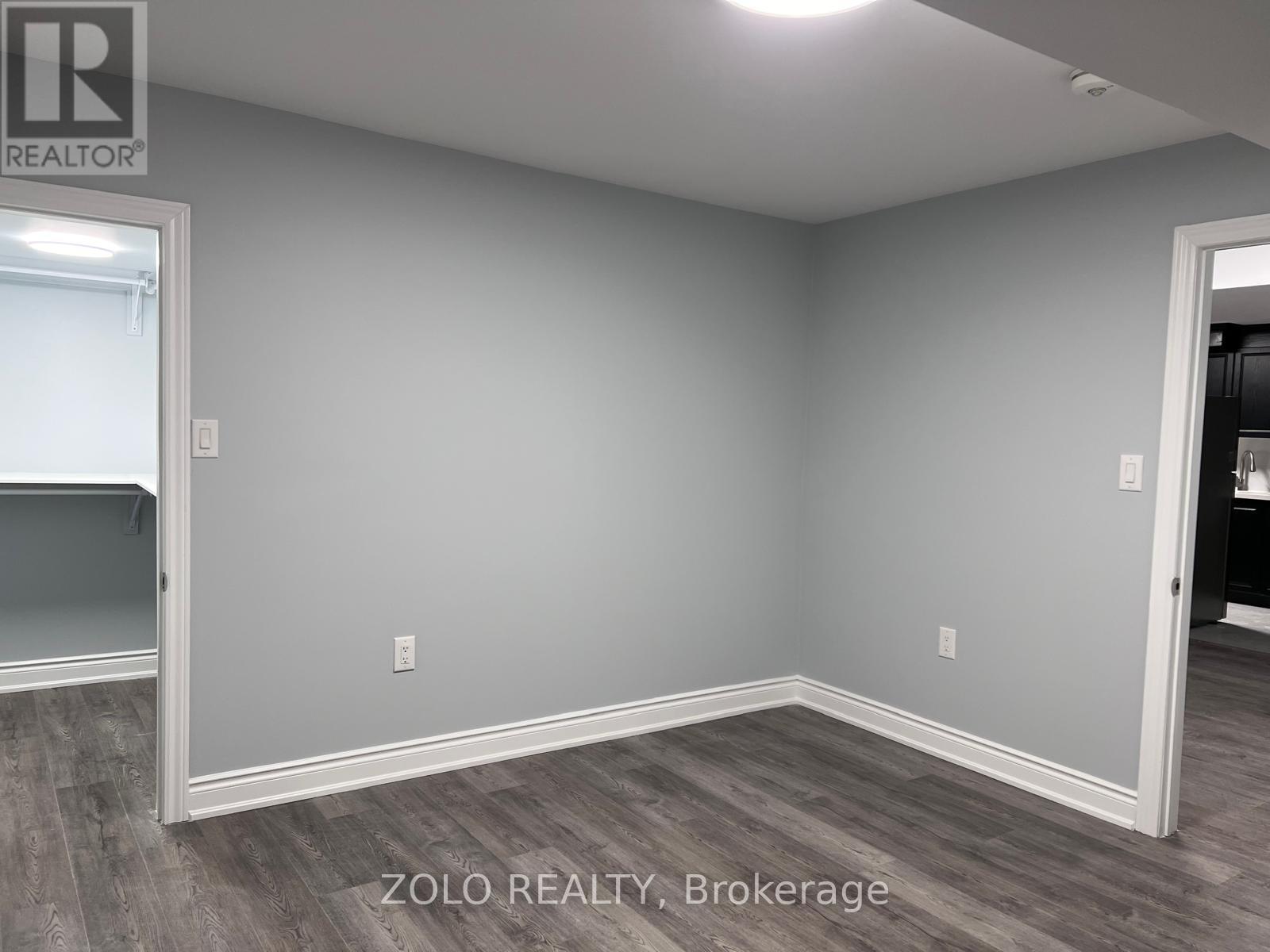 Basement - 239 Rockledge Drive, Hamilton, Ontario  L0R 1P0 - Photo 3 - X12729510