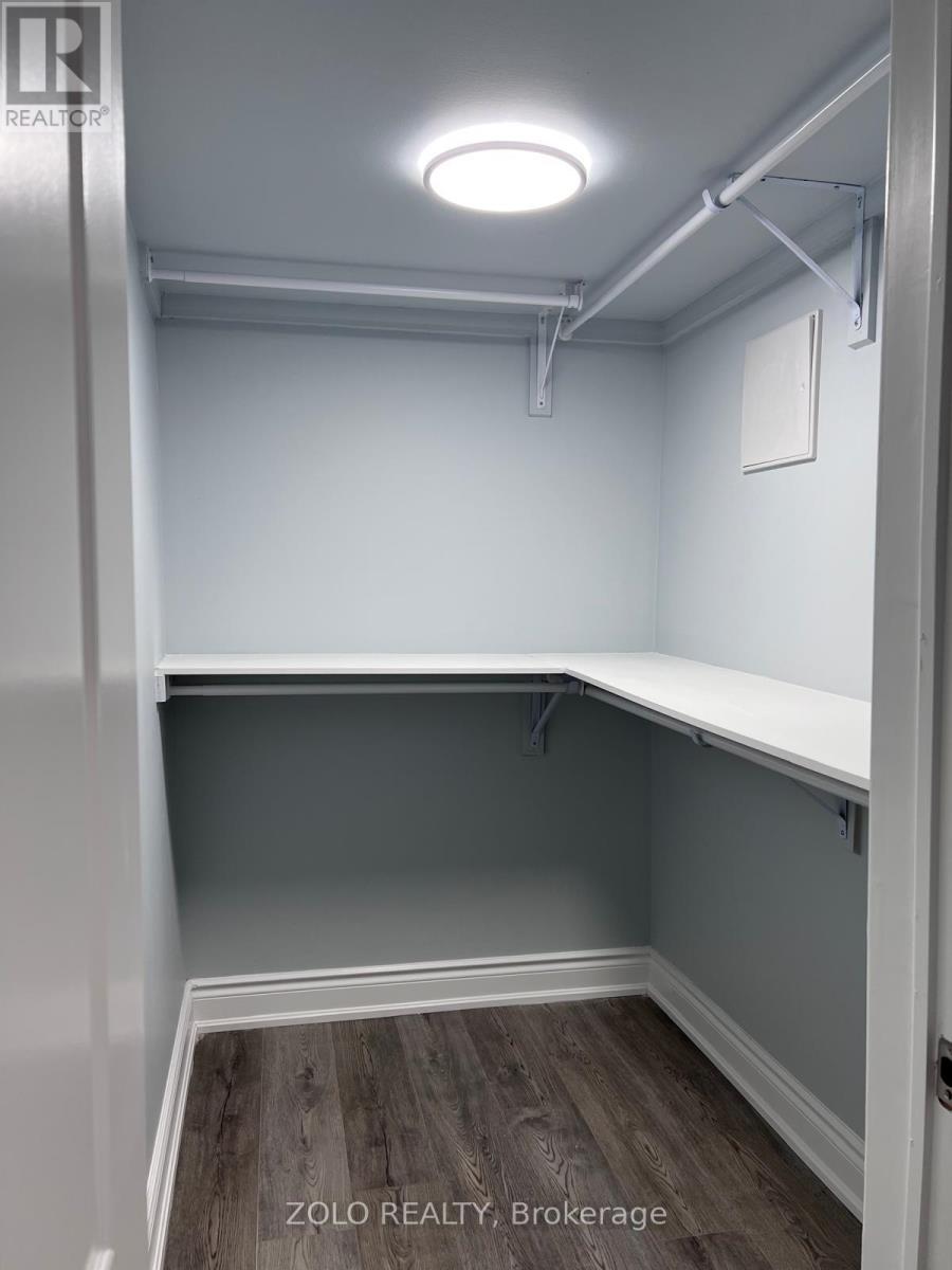 Basement - 239 Rockledge Drive, Hamilton, Ontario  L0R 1P0 - Photo 4 - X12729510