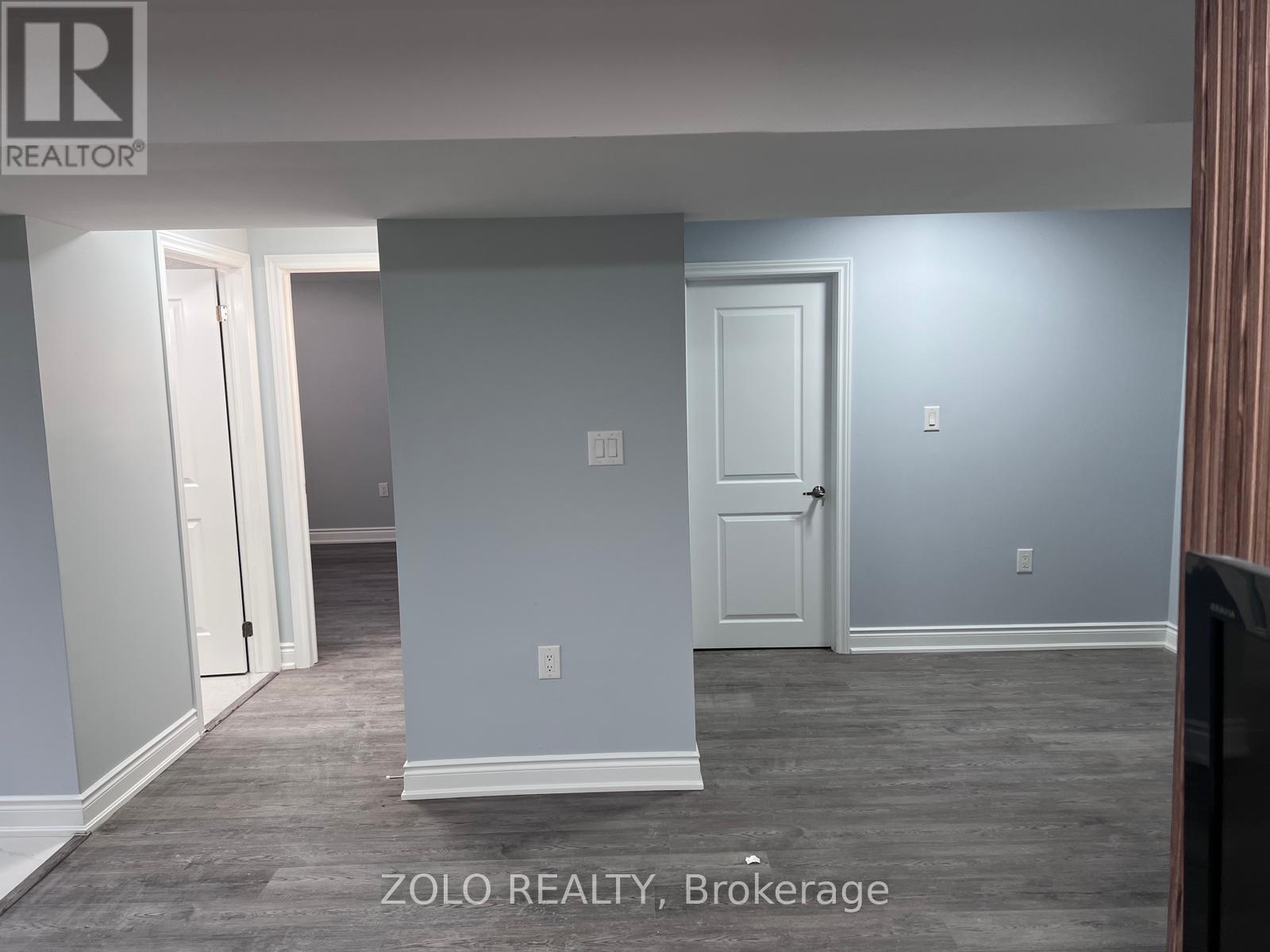 Basement - 239 Rockledge Drive, Hamilton, Ontario  L0R 1P0 - Photo 5 - X12729510