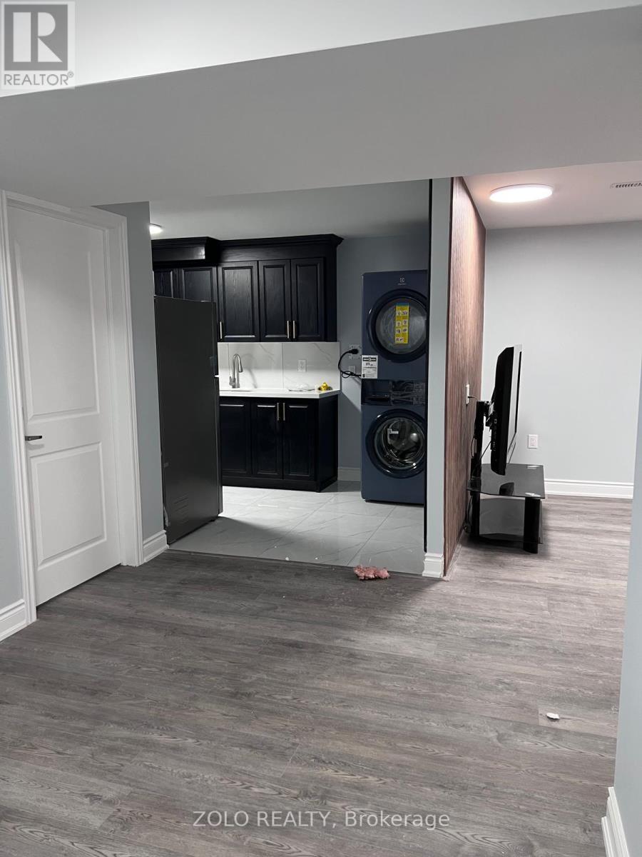 Basement - 239 Rockledge Drive, Hamilton, Ontario  L0R 1P0 - Photo 9 - X12729510