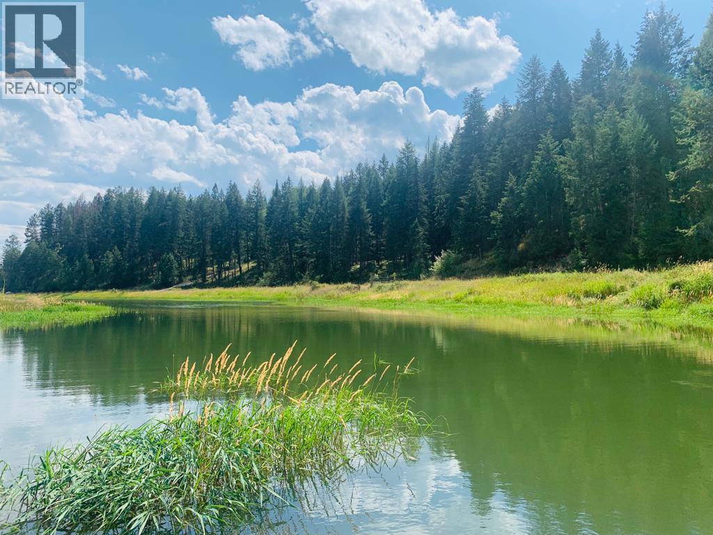 6324 Laurier Avenue Unit# 22, Wardner, British Columbia V0B 2J0 - Photo 44 - 10373864