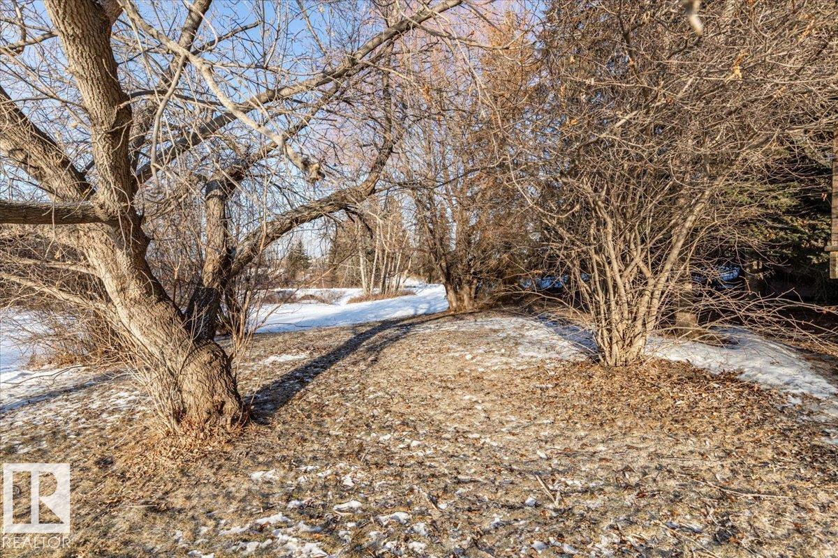 5204 55 St, Thorsby, Alberta  T0C 2P0 - Photo 27 - E4471084