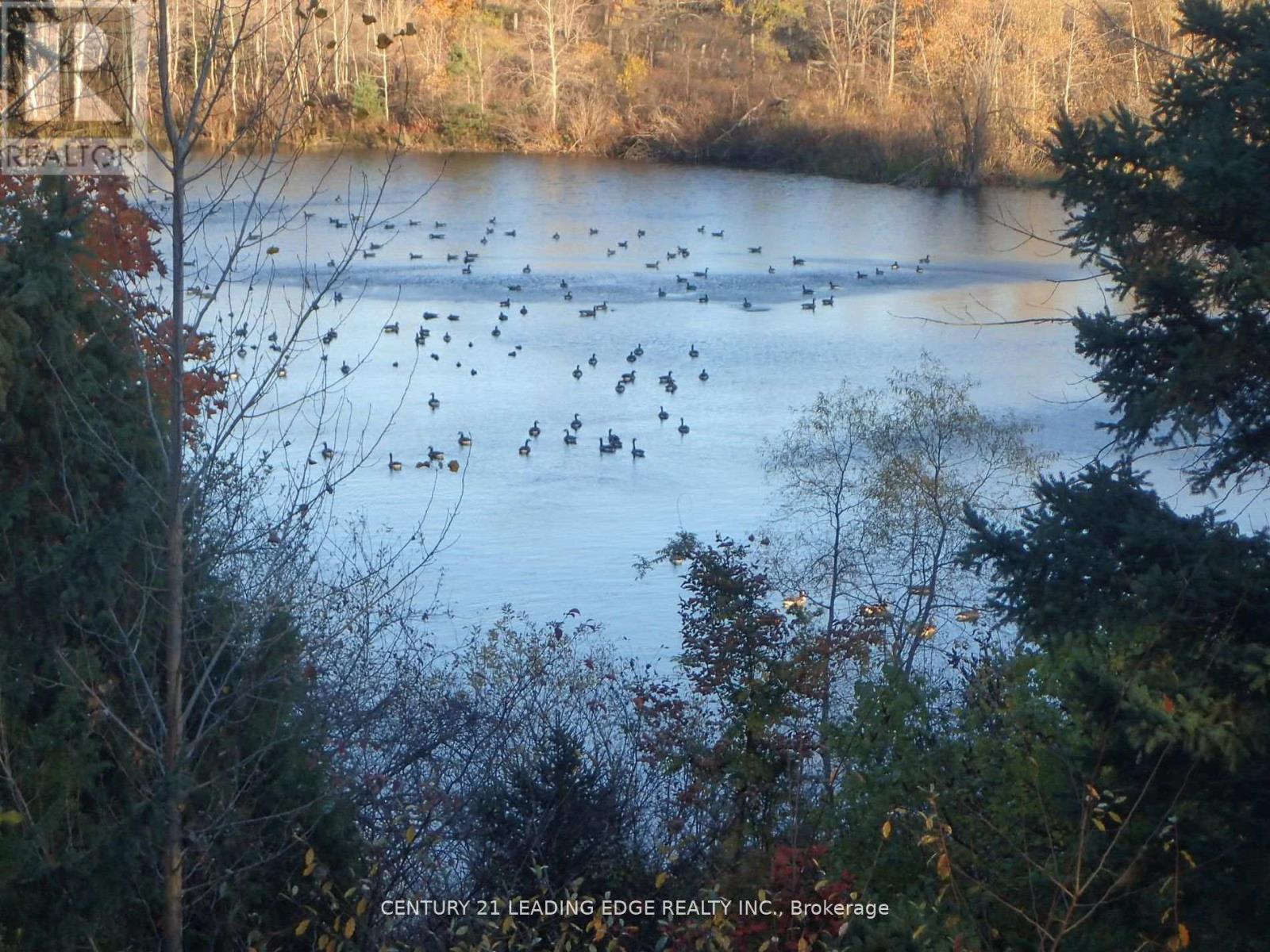 3536 Bloomington Road, Whitchurch-Stouffville, Ontario  L4A 4A2 - Photo 10 - N12729794