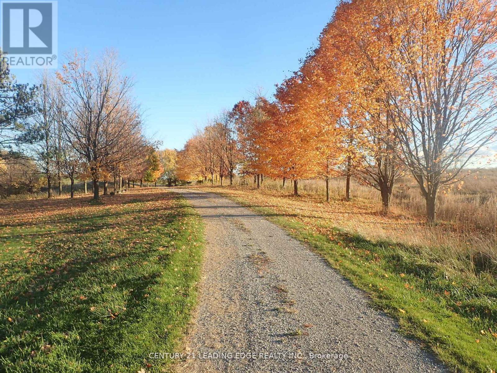 3536 Bloomington Road, Whitchurch-Stouffville, Ontario  L4A 4A2 - Photo 14 - N12729794