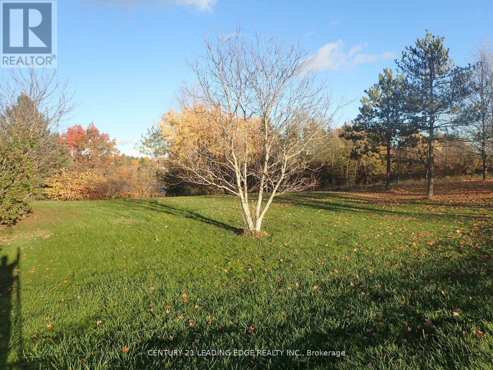 3536 Bloomington Road, Whitchurch-Stouffville, Ontario  L4A 4A2 - Photo 15 - N12729794