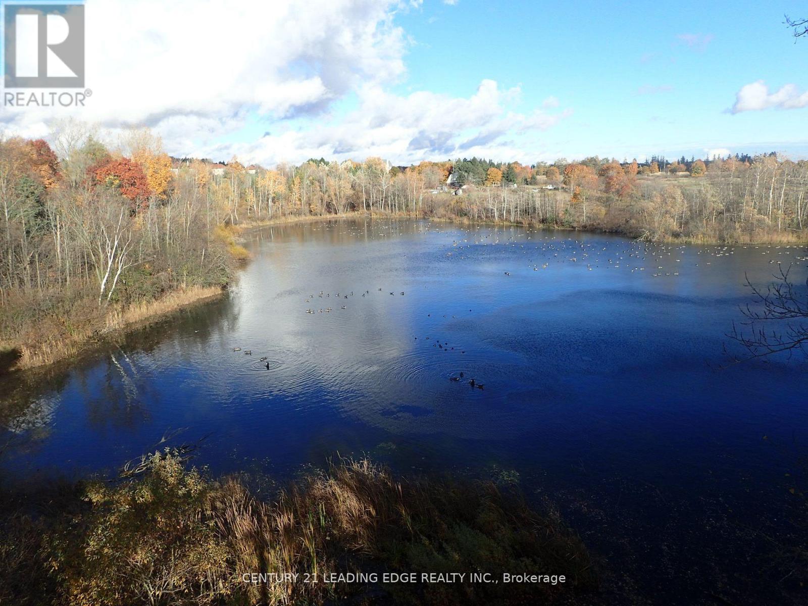 3536 Bloomington Road, Whitchurch-Stouffville, Ontario  L4A 4A2 - Photo 2 - N12729794