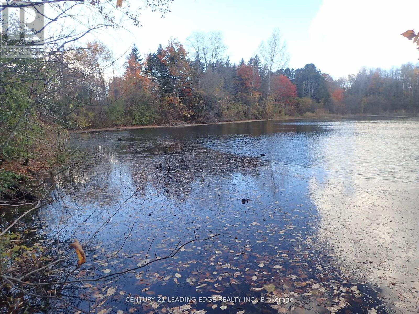 3536 Bloomington Road, Whitchurch-Stouffville, Ontario  L4A 4A2 - Photo 5 - N12729794