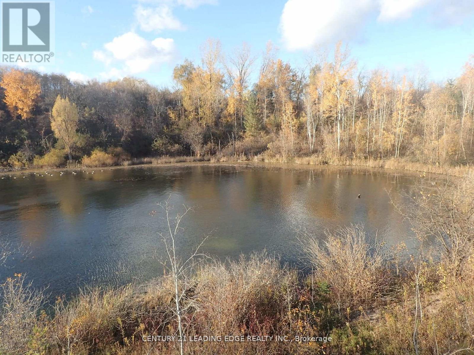 3536 Bloomington Road, Whitchurch-Stouffville, Ontario  L4A 4A2 - Photo 6 - N12729794