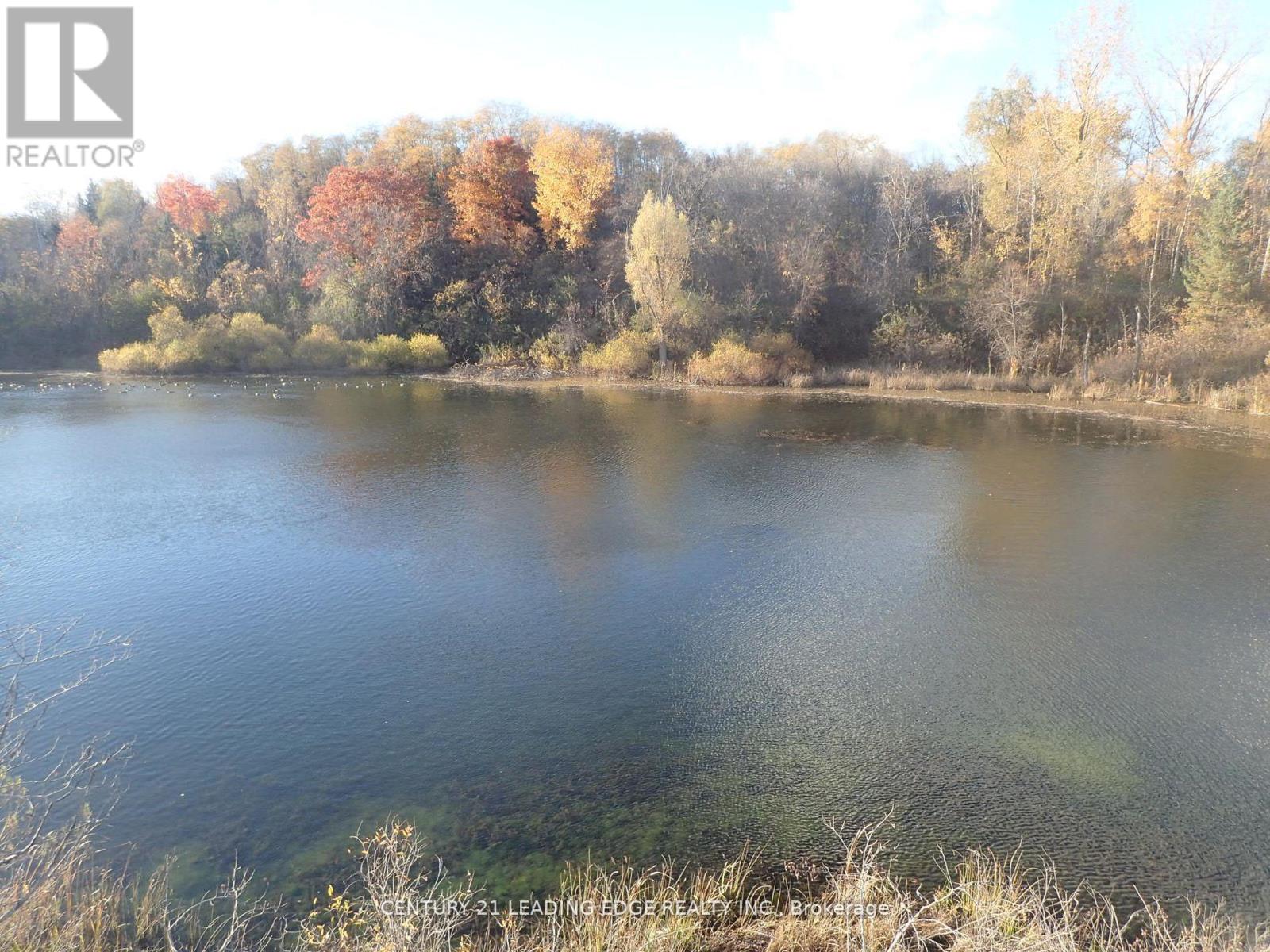 3536 Bloomington Road, Whitchurch-Stouffville, Ontario  L4A 4A2 - Photo 7 - N12729794