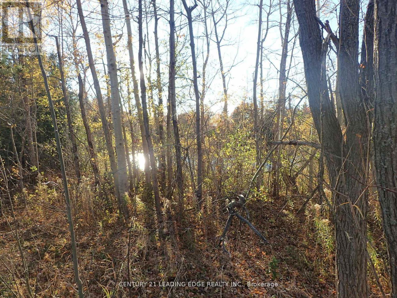 3536 Bloomington Road, Whitchurch-Stouffville, Ontario  L4A 4A2 - Photo 8 - N12729794