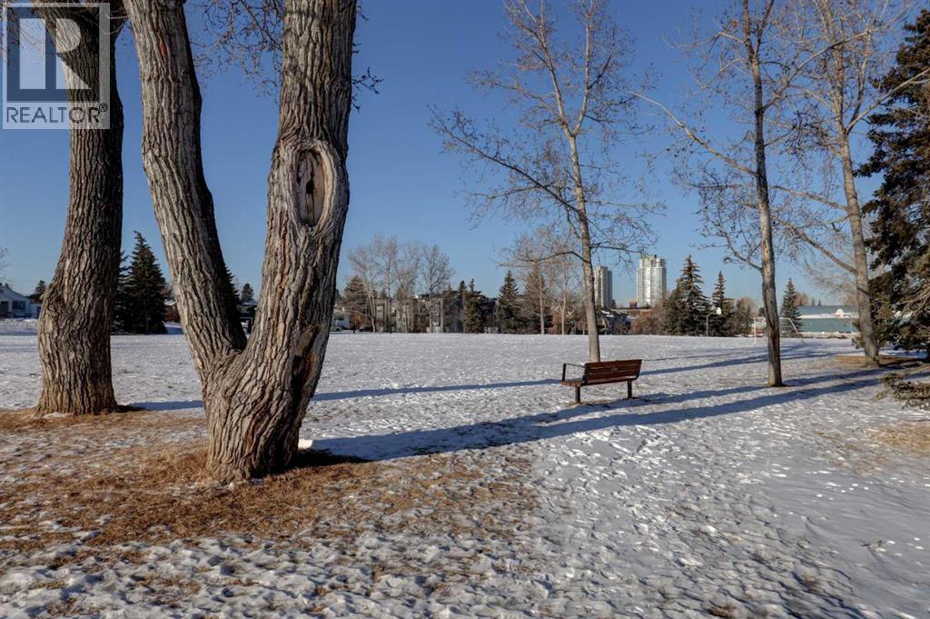 2026 29 Street Sw, Calgary, Alberta  T3E 2J9 - Photo 31 - A2275953