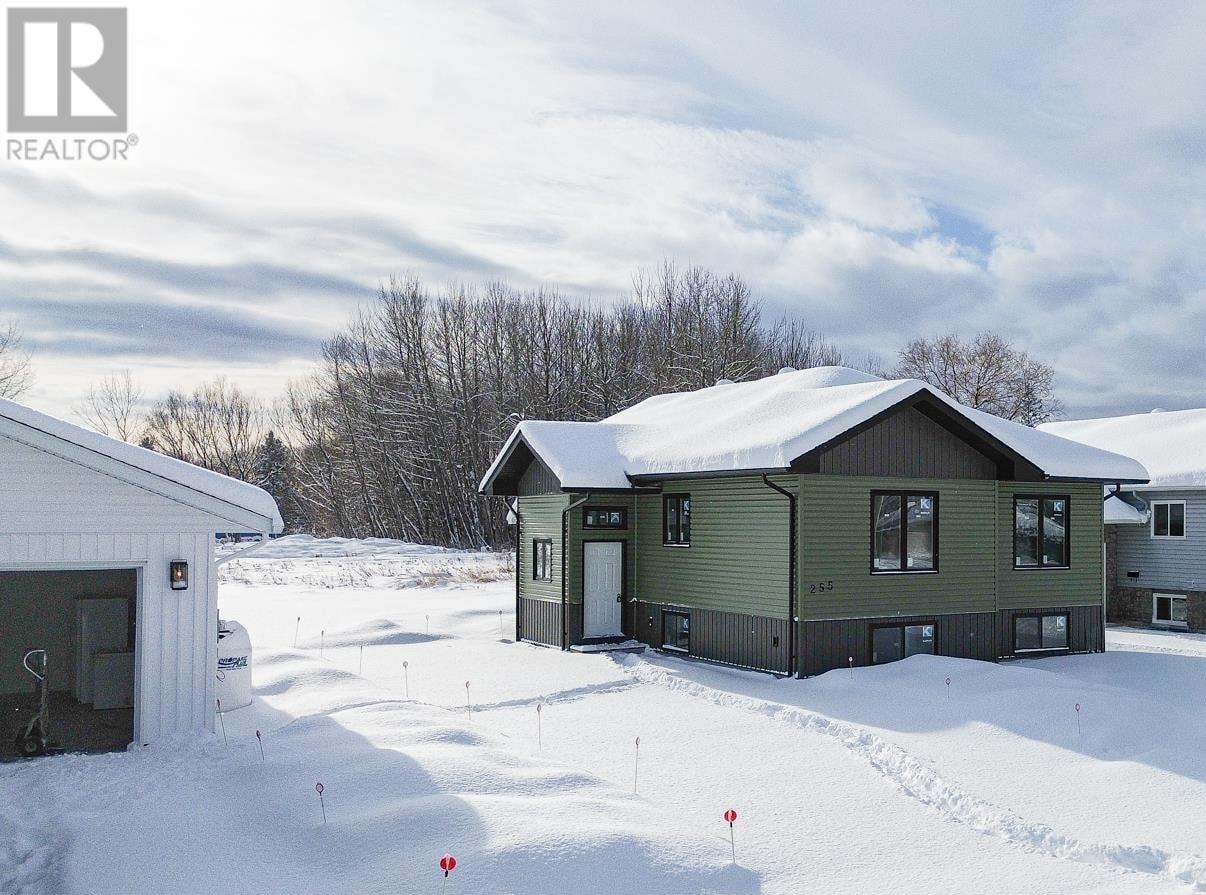 255 East Balfour St, Sault Ste. Marie, Ontario  P6C 1W9 - Photo 2 - SM253420