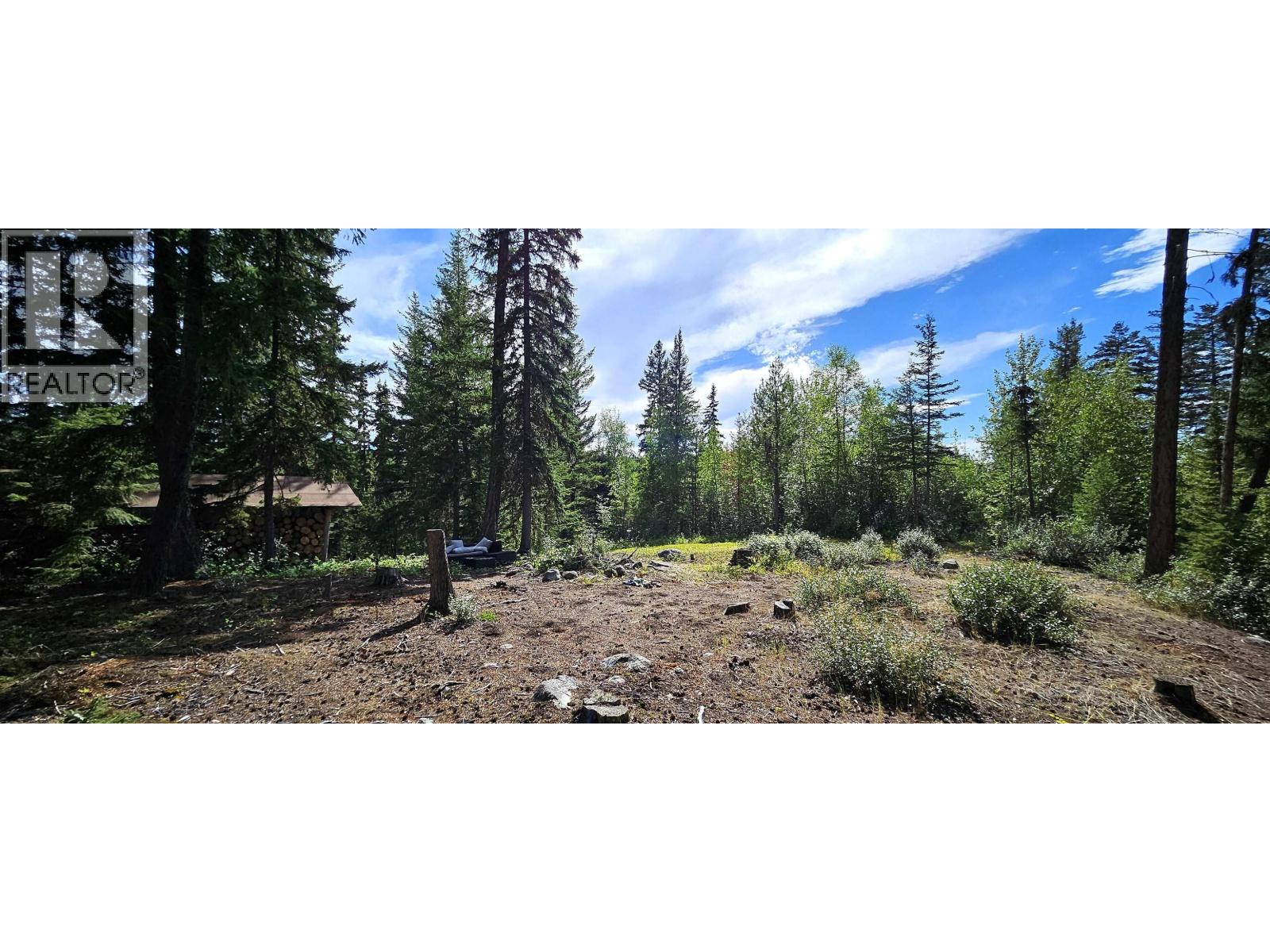 49490 Lloyd Drive, Vanderhoof, British Columbia  V0J 3A3 - Photo 19 - R3083008