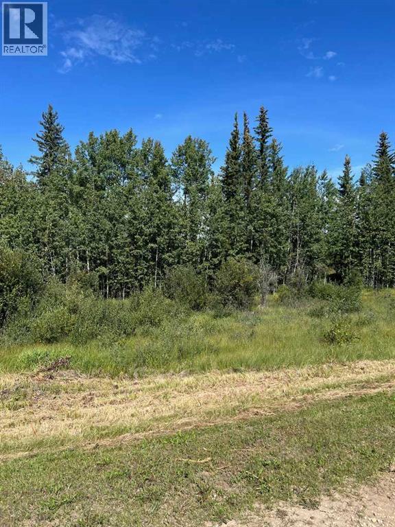 Sw-21-70-6-W6, Rural Grande Prairie No. 1, Alberta  T8W 5K1 - Photo 3 - A2249646