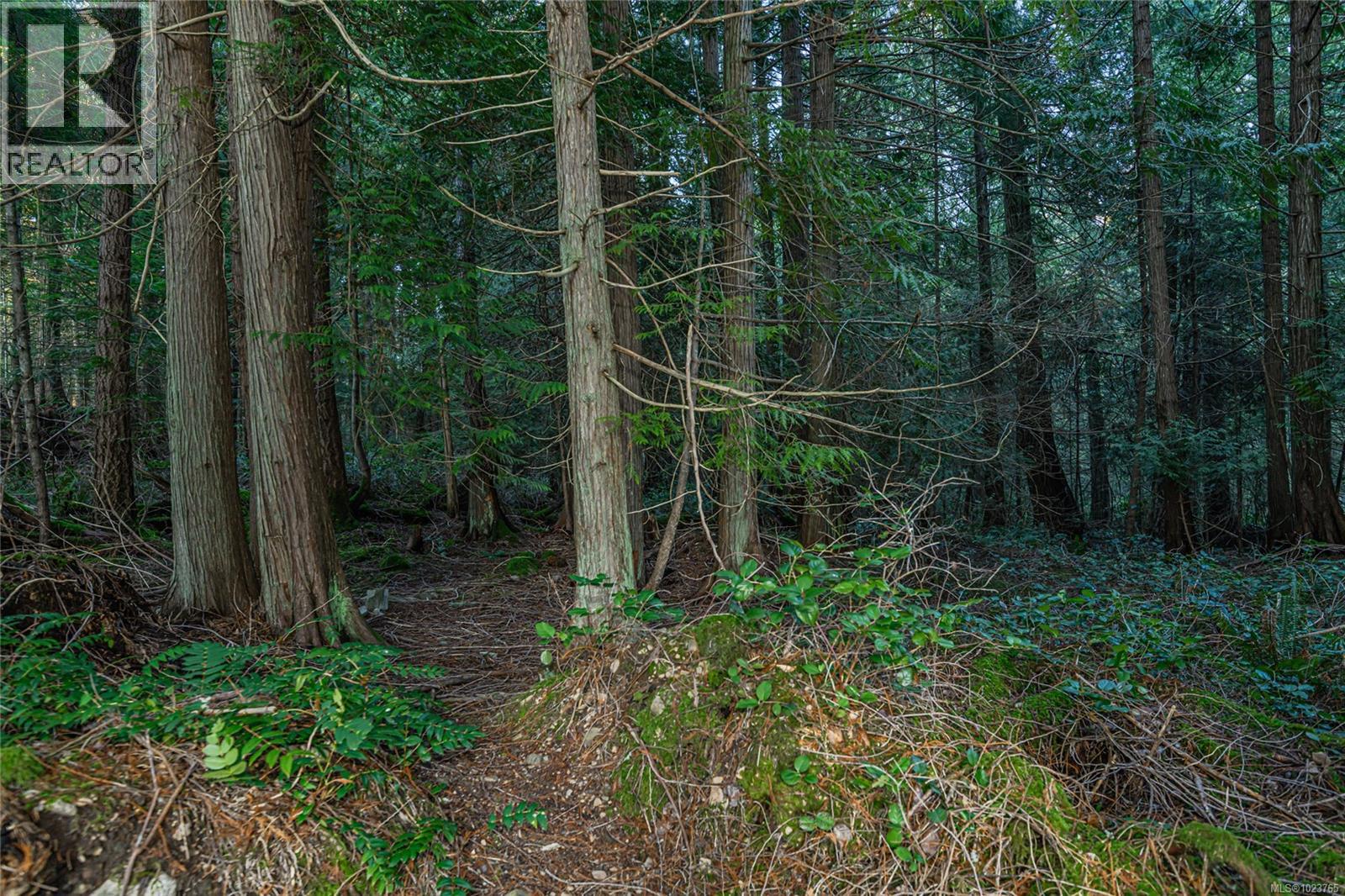 170 Thomas Rd, Salt Spring, British Columbia  V8K 1R2 - Photo 43 - 1023765