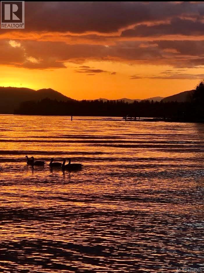 8394 Sa-Seen-Os Rd, Youbou, British Columbia  V0R 3E1 - Photo 71 - 1024069