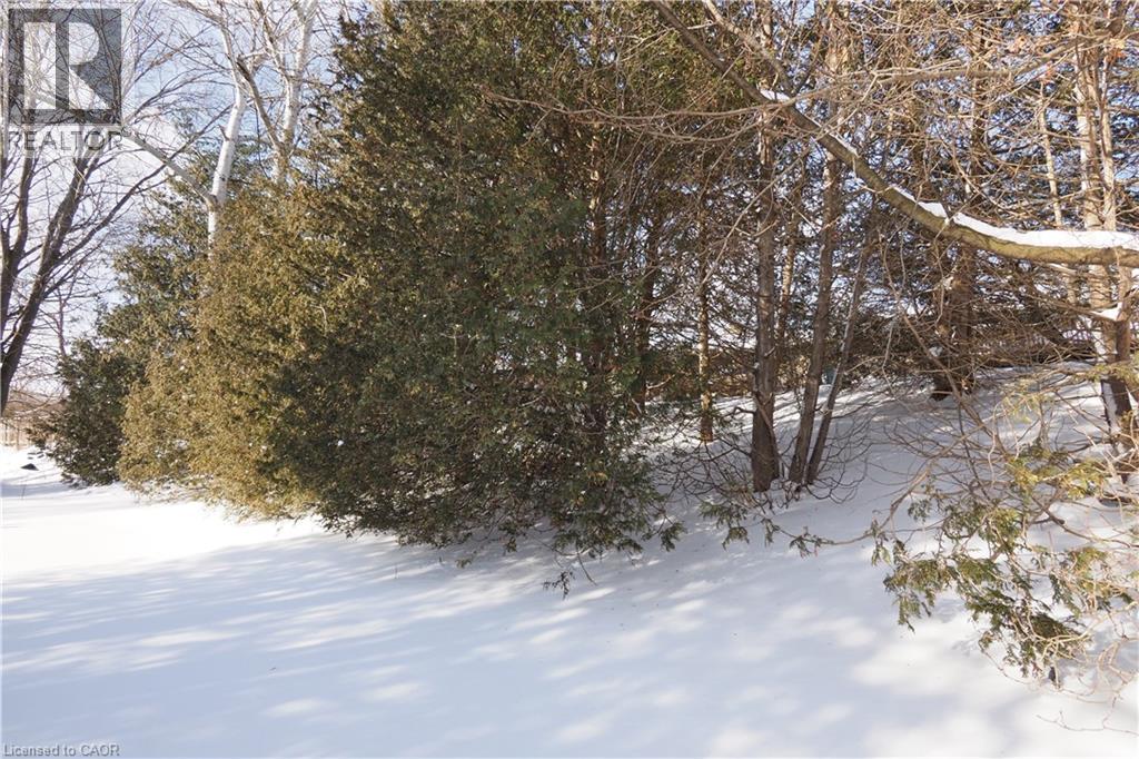 249 Murdock Avenue, Waterloo, Ontario  N2J 2M6 - Photo 34 - 40800161