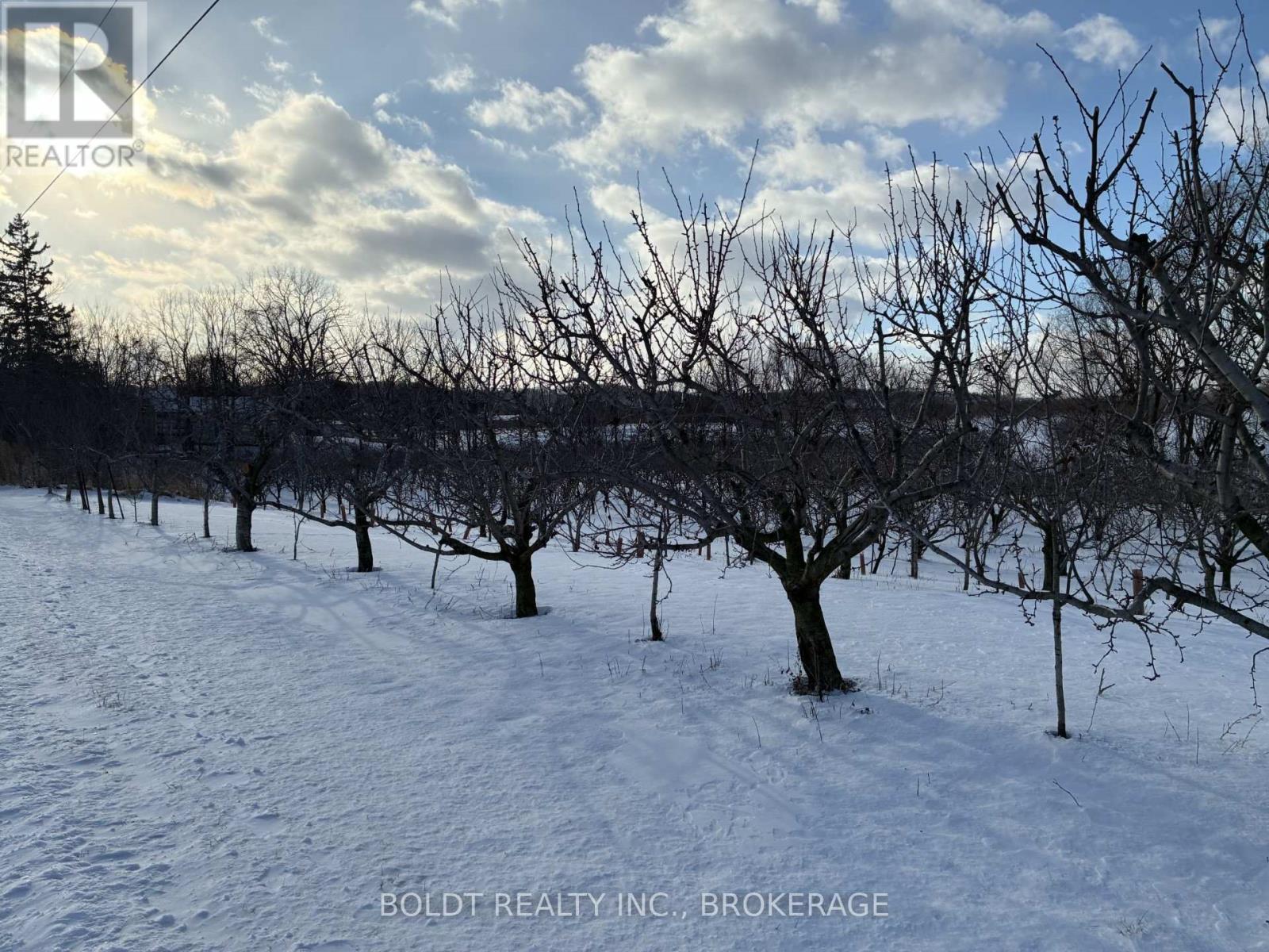 4620 Thirty Road, Lincoln, Ontario L3J 1V9 - Photo 33 - X12730002