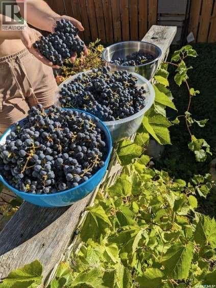 68 1035 Boychuk Drive, Saskatoon, Saskatchewan  S7H 5B2 - Photo 7 - SK027402