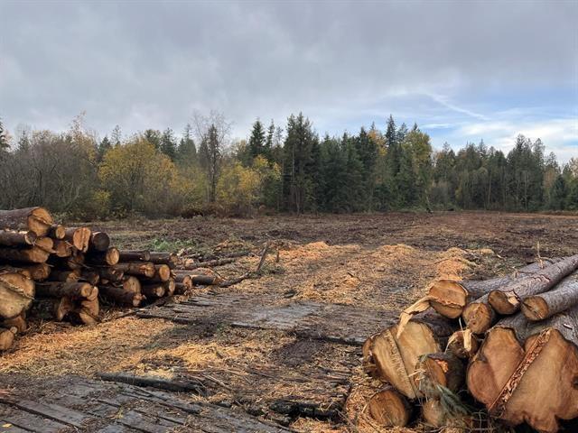 8295 264 Street, Langley, British Columbia  V1M 3M2 - Photo 5 - R3083074