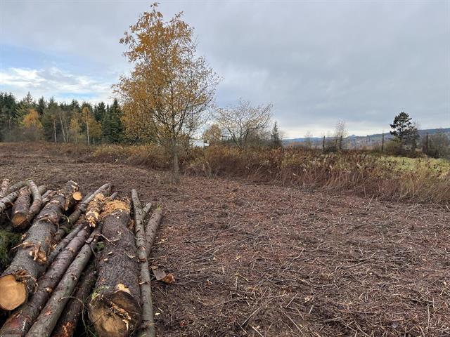 8295 264 Street, Langley, British Columbia  V1M 3M2 - Photo 7 - R3083074