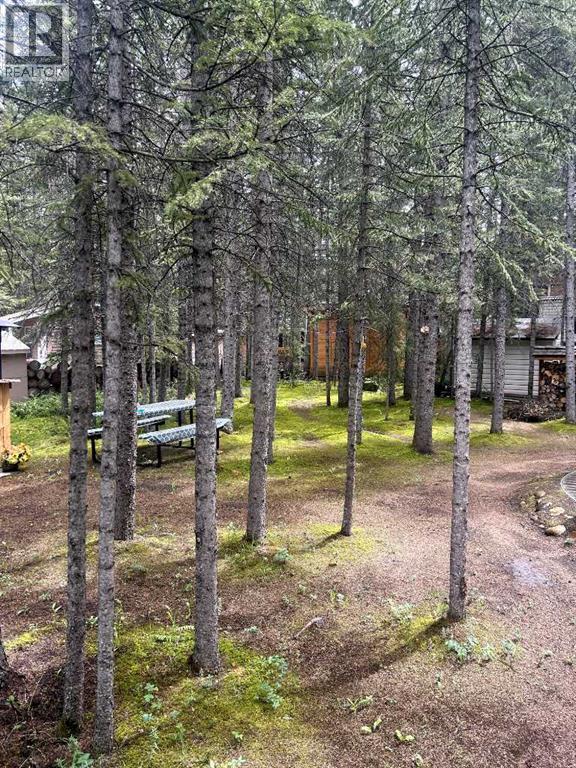 111 & 112, 200 4 Avenue Sw, Sundre, Alberta  T0M 1X0 - Photo 3 - A2236098