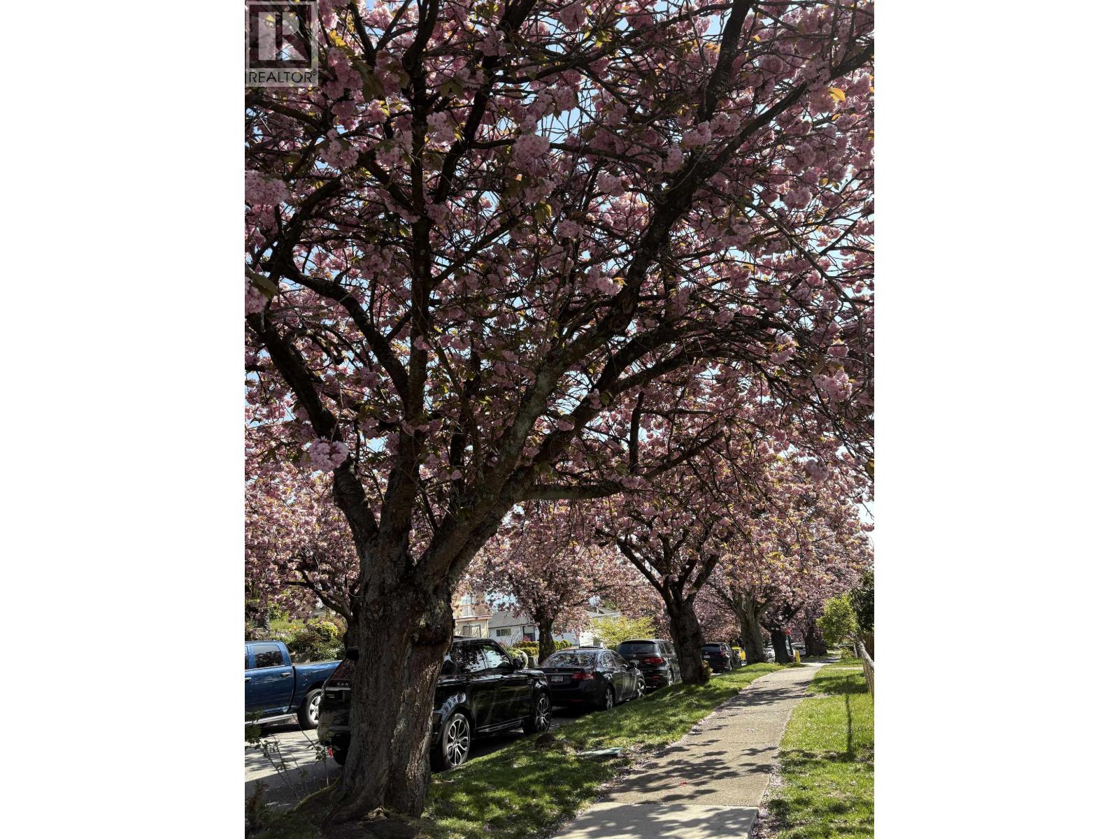 2972 E 7th Avenue, Vancouver, British Columbia  V5M 1V3 - Photo 26 - R3083037