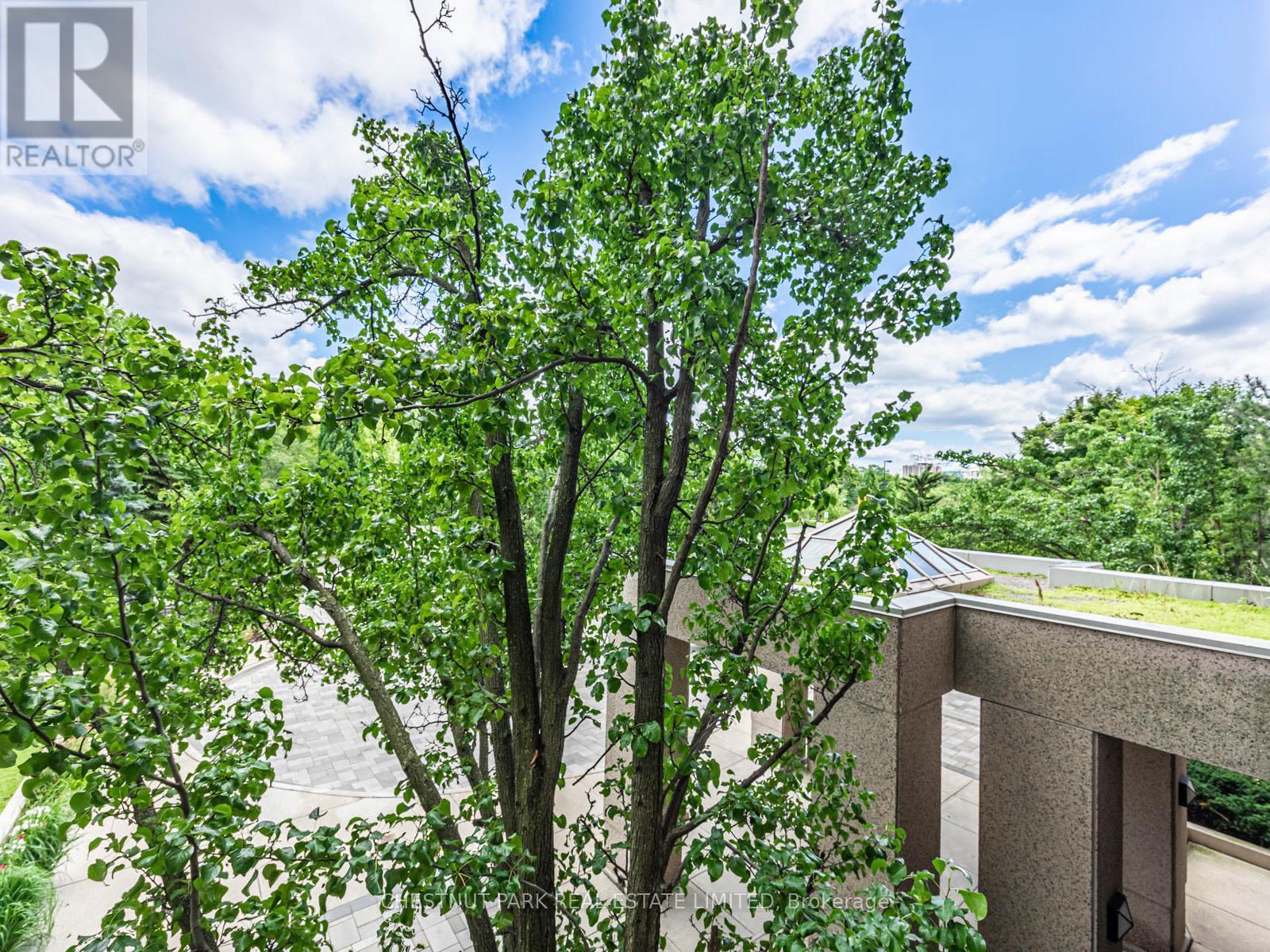 203 - 35 Empress Avenue, Toronto, Ontario  M2N 6T3 - Photo 24 - C12685228