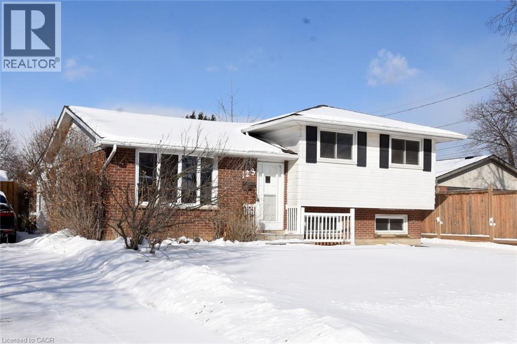 123 Woodman Drive N, Hamilton, Ontario  L8H 2M6 - Photo 4 - 40800927