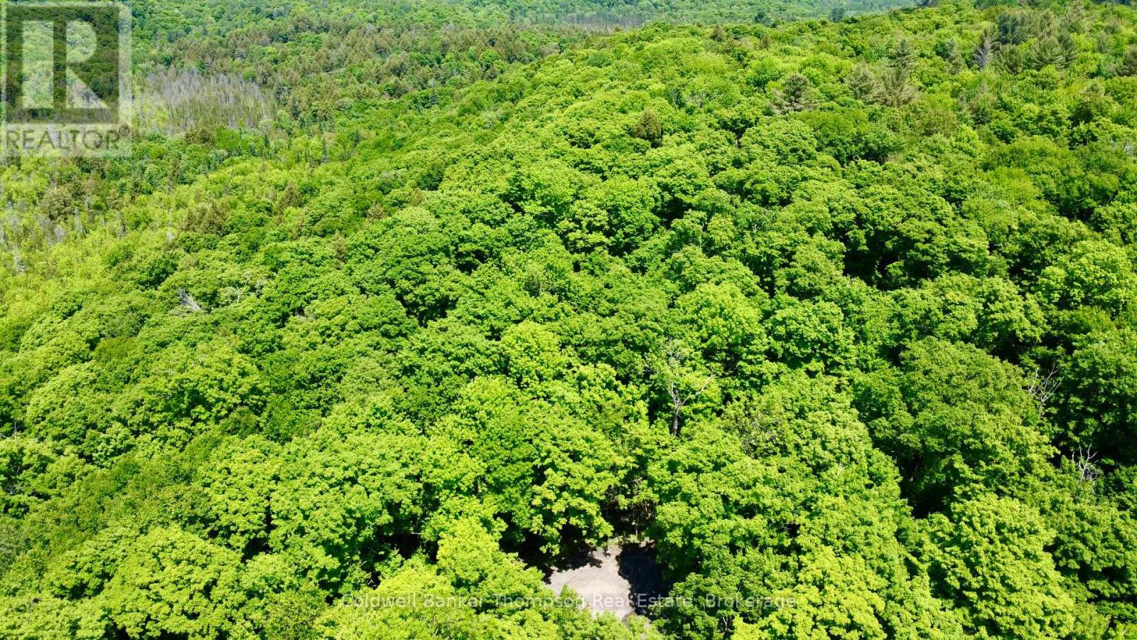 265 Sharon Drive, Huntsville, Ontario P1H 2J6 - Photo 11 - X12730338