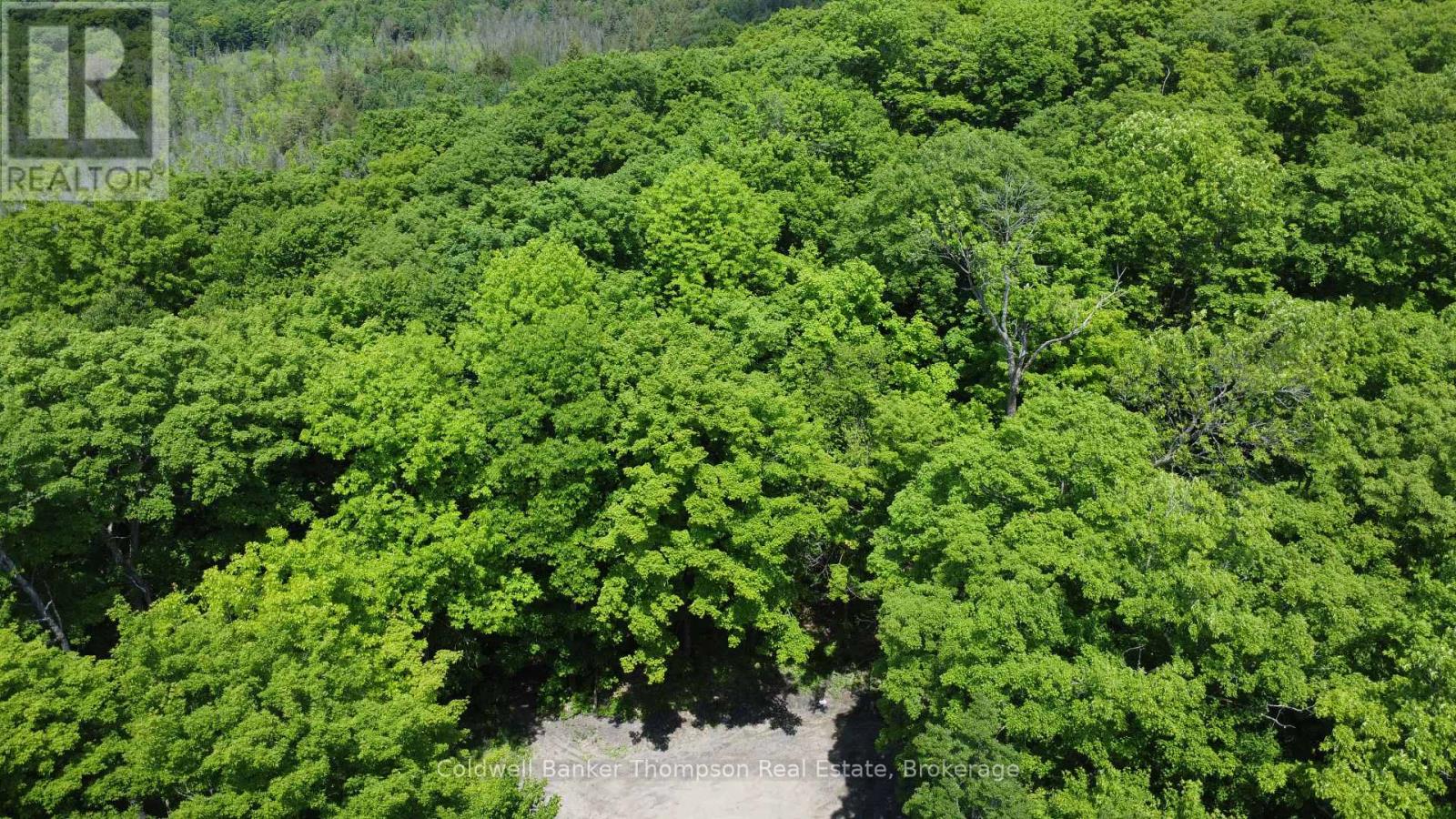 265 Sharon Drive, Huntsville, Ontario P1H 2J6 - Photo 16 - X12730338