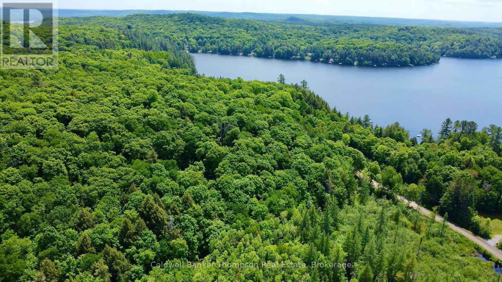 265 Sharon Drive, Huntsville, Ontario P1H 2J6 - Photo 19 - X12730338